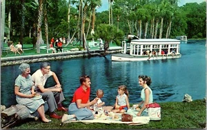 Familienpicknick & Glasbodenboote Floridas Silver Springs Florida Postkarte D17 - Bild 1 von 2