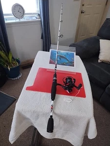 Spinning Fishing Rod Abu Garcia 6' Med 6-12lb And Reel Maxx 10 - Picture 1 of 16