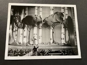 JEANETTE MACDONALD Sweethearts 8 x 10 SCHWARZWEISS FOTO BILD - Bild 1 von 4