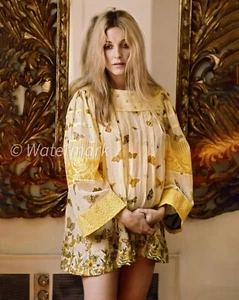 FOTO PUBLICITARIA Sharon Tate Vintage ⭐Hollywood⭐ Años 60 - 8X10 - Celebridades - Imagen 1 de 1
