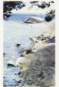 Postcard Anders Zorn "Stockholm Archipelago Study" 1887 MINT Unused - Picture 1 of 1