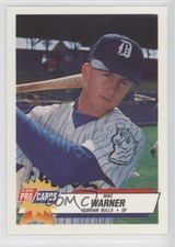 1993 Fleer ProCards Minor League Mike Warner #501