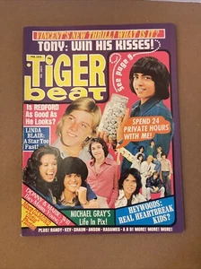 TIGER BEAT February 1975 Teen Magazine OSMONDS Hudson Brothers KIKI DEE VG - Picture 1 of 14