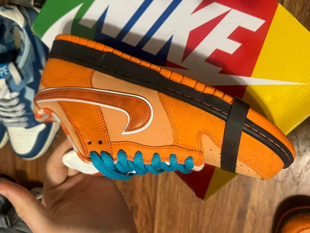 Nike Concepts x Dunk SB Special Box Low Orange Lobster for Nike Concepts x Dunk SB Special Box Low Orange Lobster for