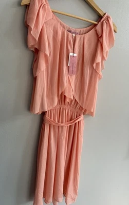 NUEVO Vestido Rebecca Taylor Rosa Manga Volantes Cinturón Para Mujer Talla 2 Transparente Delgado Foto 1 de 4