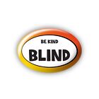 Disability Awareness Badge Large 69x45mm - Be Kind Blind