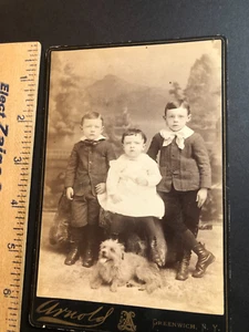 Victorian Children w/ Shaggy Dog, Greenwich, NY, c1880s, Cabinet Photo, #CP575 - Picture 1 of 2