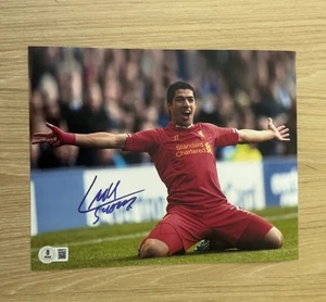 LUIS SUAREZ FIRMATO LIVERPOOL 8X10 FOTO BAS BECKETT - Foto 1 di 2