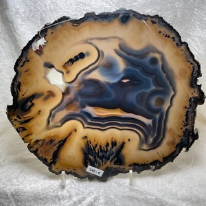 Achat Scheibe 27,7 cm x 32,3 cm Agate Slice Achatscheibe Agate - Picture 1 of 16