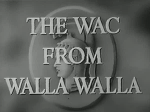 THE WAC FROM WALLA WALLA (1952) DVD JUDY CANOVA, STEPHEN DUNNE - Picture 1 of 1
