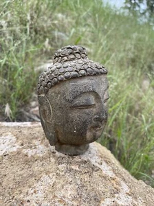 Chinese Old Buddha Head Statue / STONE !! - Picture 1 of 7