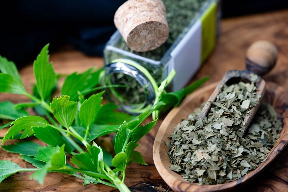 600 semi Liebstöckel Maggikraut Lovage giardino cucina erbe spezie balcone - Immagine 1 di 1