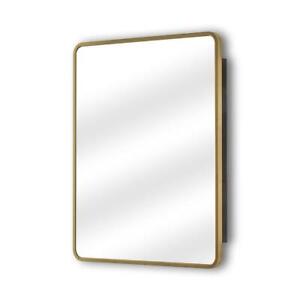 Aosspy Single-View Medicine Cabinet w/ Mirror 30" x 24" Left Swing Medium Gold