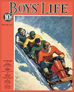 Decoration Poster.Home room art.Interior design.Winter snow Bobsleigh sport.7422 - Picture 1 of 1