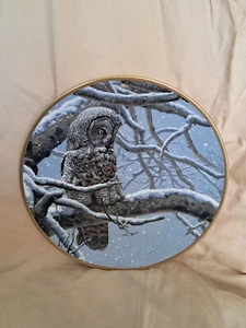 8 Owls of America Limited Edition by Seerey Lester 1988 Spode Plates   TSR - Picture 1 of 16