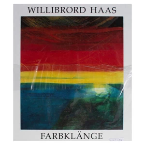 Willibroard Haas colores sonidos catálogo Volker Wieland edición Tapa dura 1991 nueva - Imagen 1 de 3
