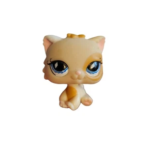 GATTO PERSIANO #521 - Autentico negozio di animali più piccoli - Hasbro LPS - Foto 1 di 4