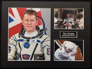 SPACE Tim PEAKE 16 x 12 Montaje B, Astronauta Británico ESA ISS EXPLORACIÓN 46/47 - Imagen 1 de 1