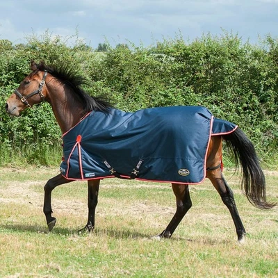 Gallop Trojan / Ponie Duraproof 200g Horse Turnout Rug, Std Neck Lightweight Rug - Image 1 of 2