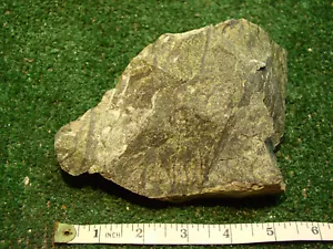 Lizard Serpentine Chunk 2.5 Pounds Lb Large rough - Picture 1 of 5