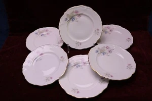 Winterling Bavaria Alemania China flores rosadas y azules 6 platos de pan - Imagen 1 de 5