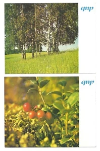 6 Sowjetisches Lettland Briefumschlag Format Kalender GAUJA NATIONALPARK, LETT Tiere #B13 - Bild 1 von 4