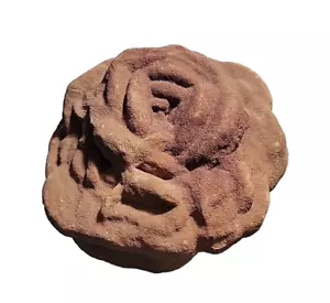 Barite Rose Crystal Specimen 2.75# Desert Rose Flower Shaped Oklahoma State Rock - Picture 1 of 24