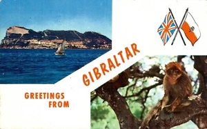 Gibraltar Greetings From Gibraltar Chrome Postcard B74 - Picture 1 of 2