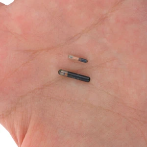 134.2KHZ Microchip Animal RFID tag for Fish dog cat idetificationOZA&qn - Picture 1 of 12
