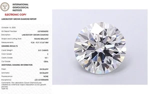3.01 Round Lab Grown Diamond Engagement Ring IGI Certify E VS1 - Picture 1 of 11