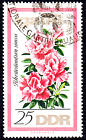 Deutschland Ddr Gestempelt Esst Ersttag Sonderstempel Rhododendron Iga 66  5070