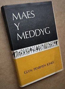 Maes y Meddyg, Glyn Penrhyn Jones. 1967 First Edition. Hardback, d/jacket. VGC - Picture 1 of 9