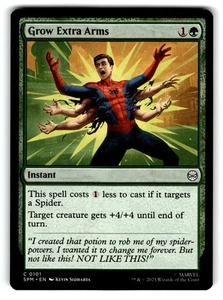 2025 Magic: The Gathering Spider-Man - Picture 1 of 2