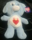 Rare Blue Care Bears Friends 2017 Puppydog Pink heart 14 inch bear.