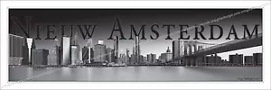 New Amsterdam,Nieuw Amsterdam, New York,Skyline - Picture 1 of 16