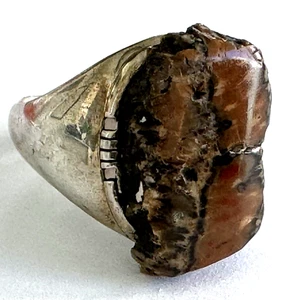 Native American Francis A Petrified Wood Men's Ring Sterling Silver Size 10.75 - Picture 1 of 15