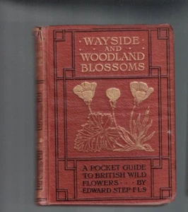 ANTIQUARIAN ,WAYSIDE AND WOODLAND BLOSSOMS by EDWARD STEP , 1928 , 3 volumes - Foto 1 di 6