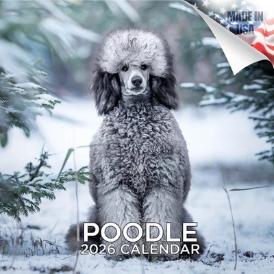 MEGACALENDARS Poodle Dog Breed Calendar 2026 FULL SIZE 12x24 Made in USA
