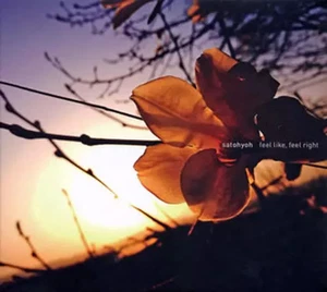 Japanese music CD satohyoh feel like??.feel right - Picture 1 of 1