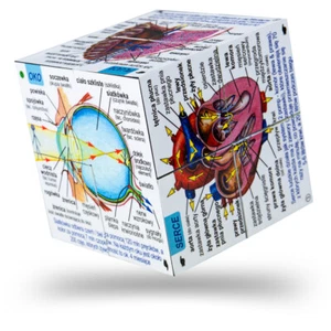 Cubo de sistemas y estadísticas del cuerpo humano ZooBooKoo POLISH - Cubo desplegable - Imagen 1 de 4