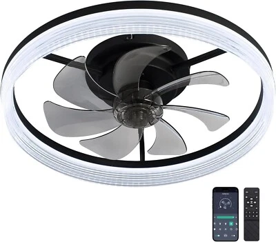DiamondForge Ceiling Fan Light 20" Remote App 6 Speeds Fandelier - Image 1 of 4