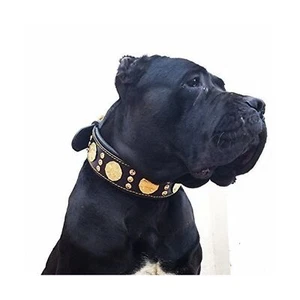 Bestia Maximus Genuine Leather Dog Collar, Large Breeds, Cane Corso, Rottweil... - Picture 1 of 5