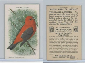 J9-5, Church & Dwight, Useful Birds America 9th Ser., 1925, #11 Scarlet Tanager - Bild 1 von 1