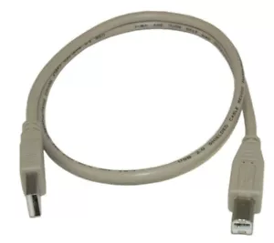 Cable beige macho a macho macho a B con certificación USB 2.0 480 Mbps tipo A de 2 ft - Imagen 1 de 3