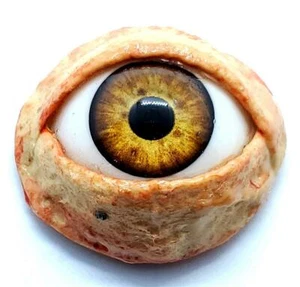 Halloween Prop Realistic Life Size Eye DOT third eye, masks, JEWELRY Light Brown - Picture 1 of 3