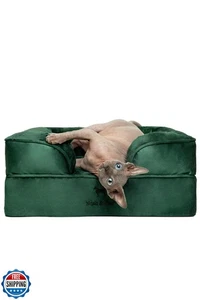 NOAH and PAW Small Dog Bed, 20x15x8 Inch, Cat Bed for Indoor Cats, Orthopedic - Picture 1 of 5