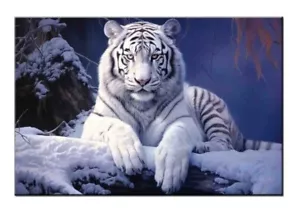 White Tiger Lying in the Snow,Wildlife Art Print Canvas-Home Wall Decor-Fun Gift - Picture 1 of 10
