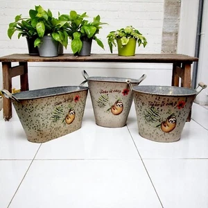 Faultier Dose Pflanzkübel Blumentopf Indoor Outdoor Metall Tier Pflanze Deko - Bild 1 von 34
