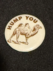 1960's HUMP YOU CAMEL 1.25" hippie pinback button White With Brown - Picture 1 of 2