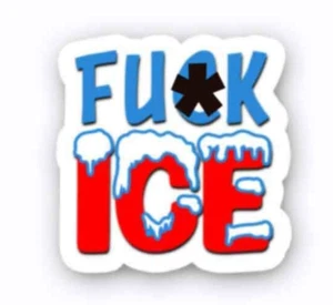 F*CK ICE - Anti TRUMP Aufkleber Vinyl Autoaufkleber 50er-Pack 3" breit - kein Sternchen - Bild 1 von 3